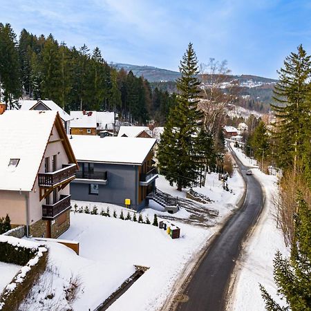 Wonder Home - Villa Vika Z Ogrodem, Z Miejscem Na Grilla I Ognisko Karpacz Exterior foto